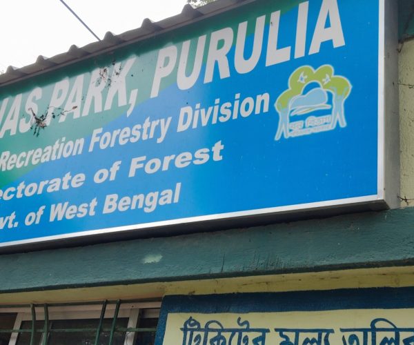 WhatsApp Image 2025-07-27 at 3.55.45 PM