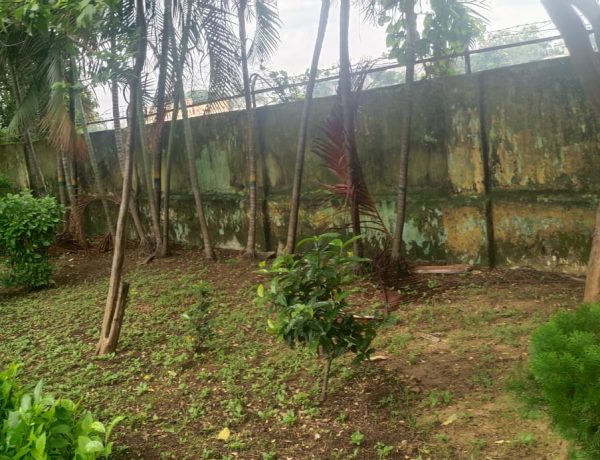 WhatsApp Image 2025-07-27 at 3.55.47 PM