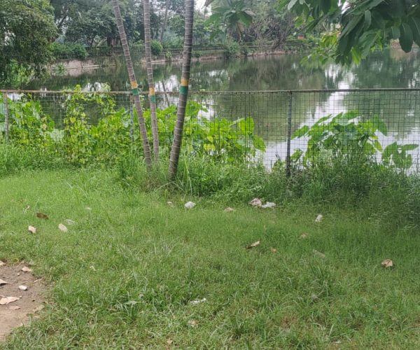 WhatsApp Image 2025-07-27 at 3.55.49 PM