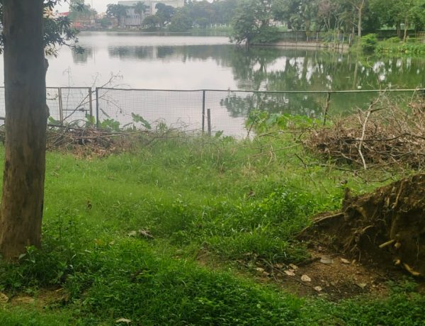 WhatsApp Image 2025-07-27 at 3.55.52 PM (1)