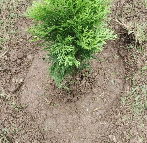 WhatsApp Image 2025-07-27 at 3.55.55 PM