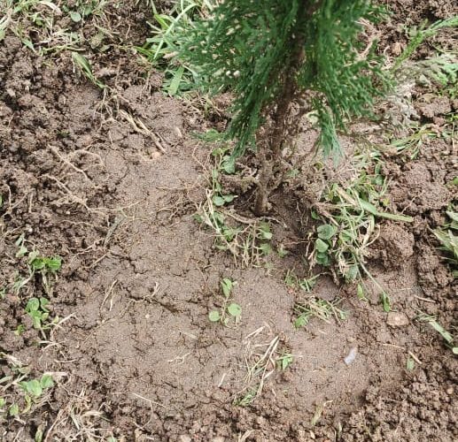 WhatsApp Image 2025-07-27 at 3.55.56 PM